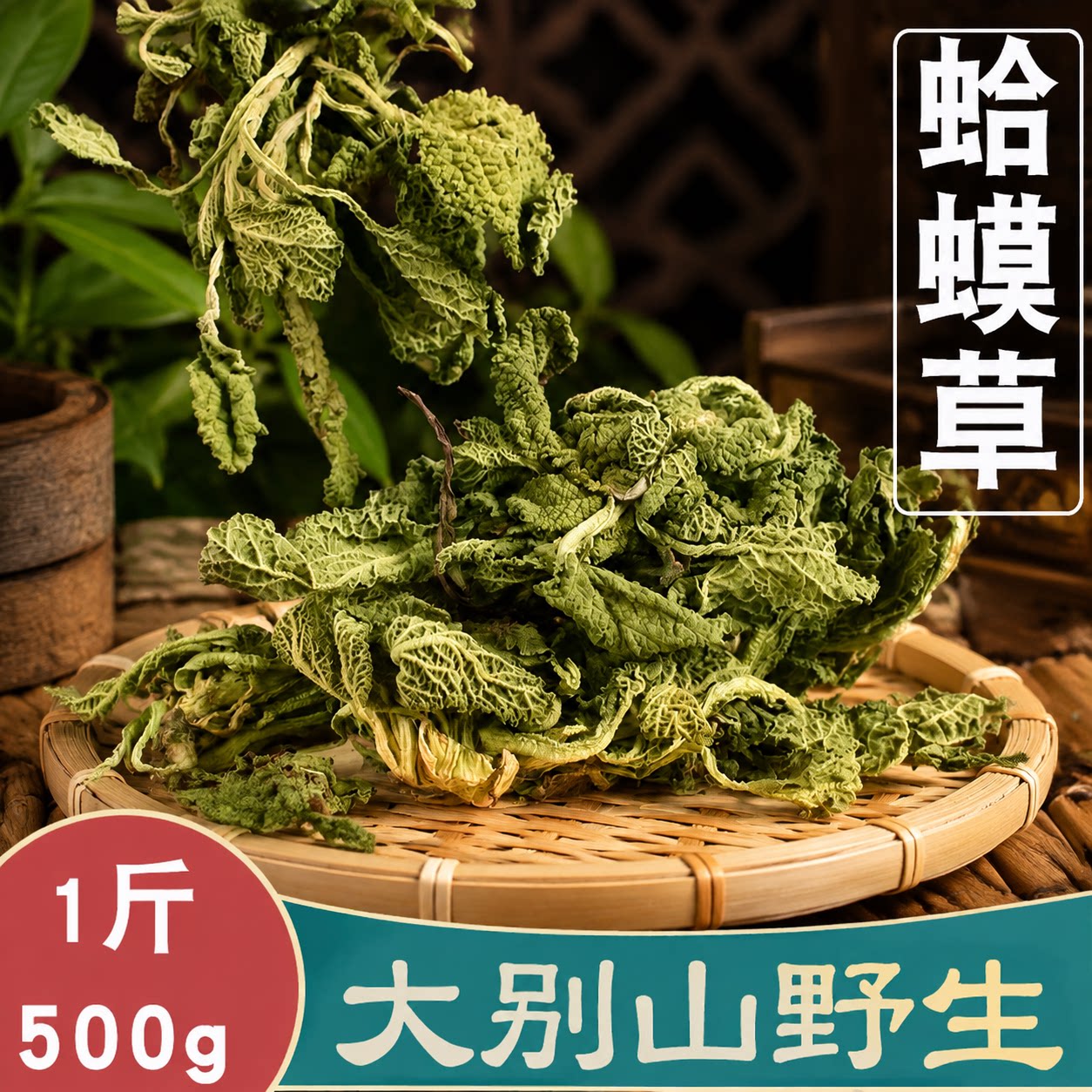 野生蛤蟆草500g中药材荔枝草 雪见草整株