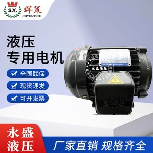 3.75KW 2.25KWD C01 C02 卧 台湾群策SY电机0.75KW C03立式 1.5KW