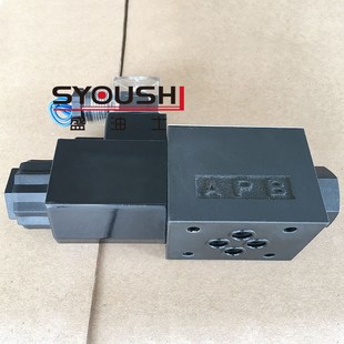 NJ1 R220 2B2 2B2L 电磁阀DSG DSG