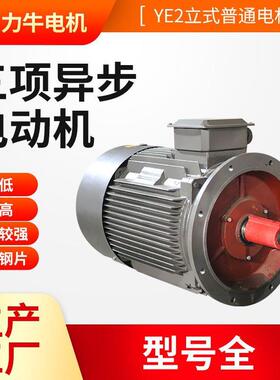 铜芯三相异步电动机现货Y250M-4-55三相电动机冷硅钢片电机马达