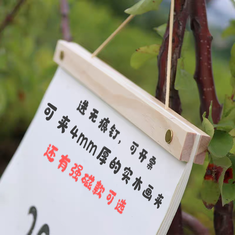 实木磁吸挂画夹画框书法作品夹子