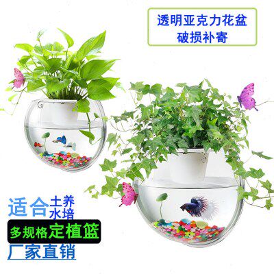 壁挂花盆鱼缸家居饰品免打孔壁挂吸甲醛瓷砖墙面装饰绿萝植物水培