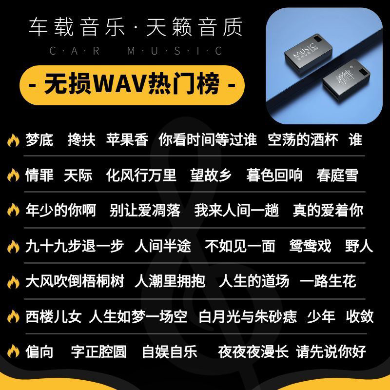 车载WAV无损抖音DJ歌曲U盘