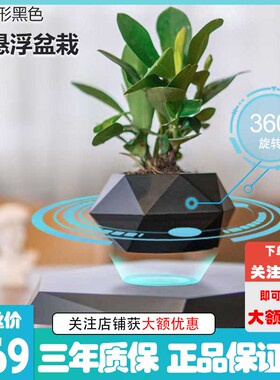 磁悬浮花盆木雕潮流客厅摆件网红创意花店装饰灯泡黑科技礼物礼品