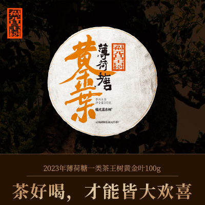 2023年薄荷塘茶王树黄金叶100g