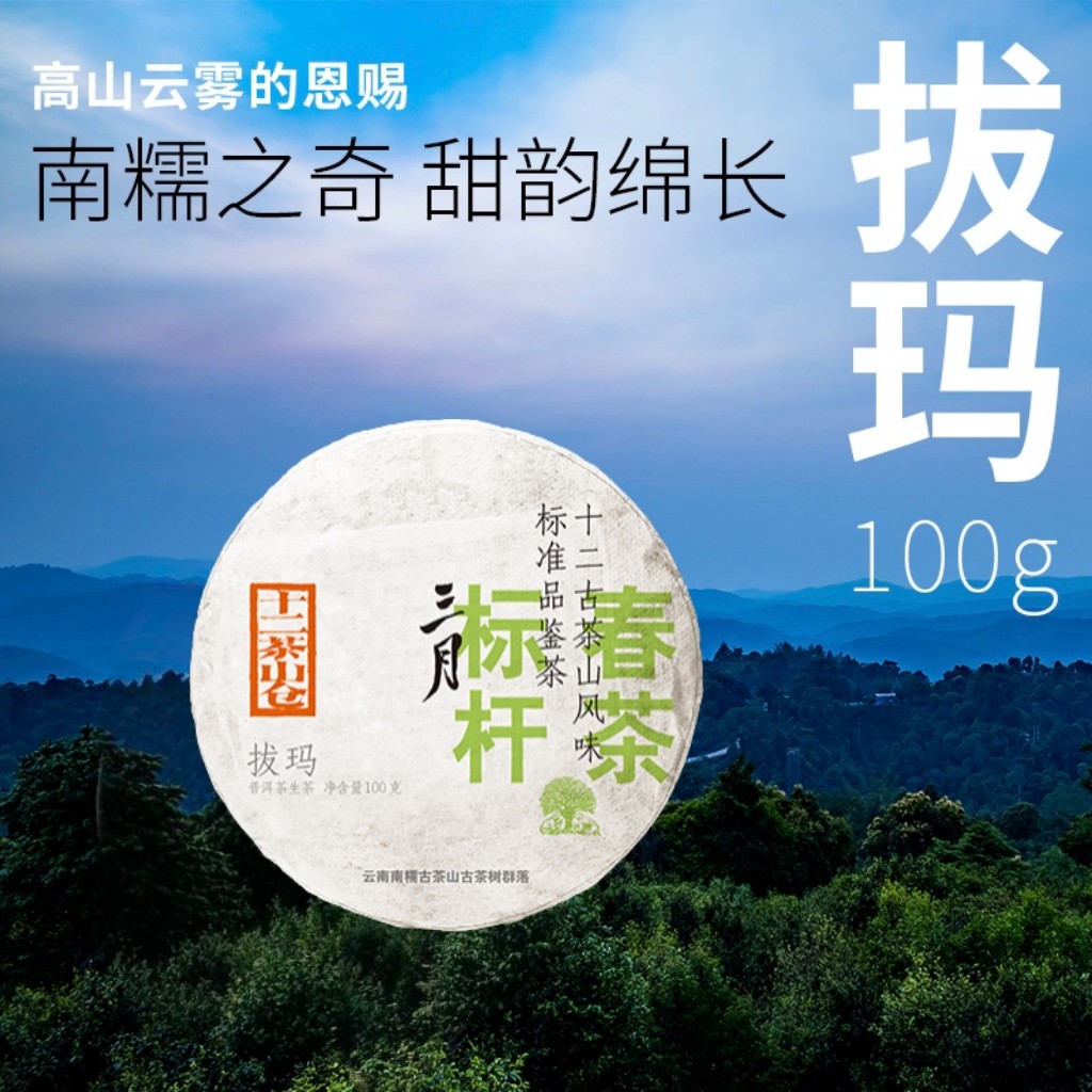 拔玛普洱茶生茶春茶普洱茶图片