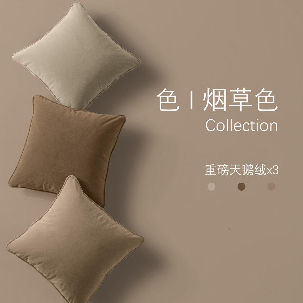 北欧简约纯色沙发客厅卧室重磅天鹅绒抱枕靠垫床头大靠背含芯