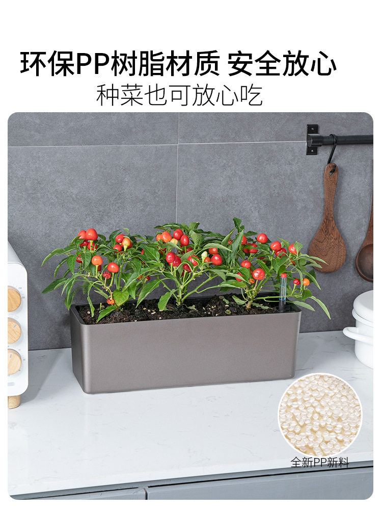 阳台长方形自吸水种菜盆蔬菜葱种植箱辣椒草莓盆窗台长条花盆