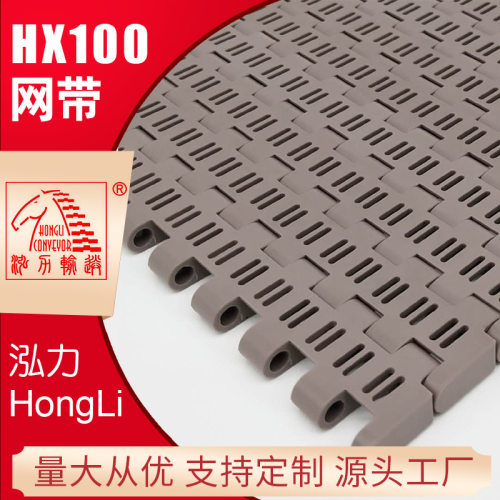 上海泓力HX100网带链板