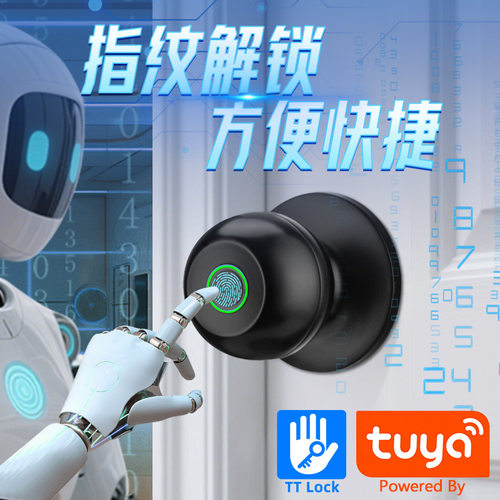 外贸涂鸦球形指纹密码智能门锁