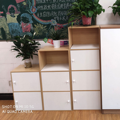 20267T加大木质简易柜子储物柜书柜书架儿童置物带门组合收纳简约
