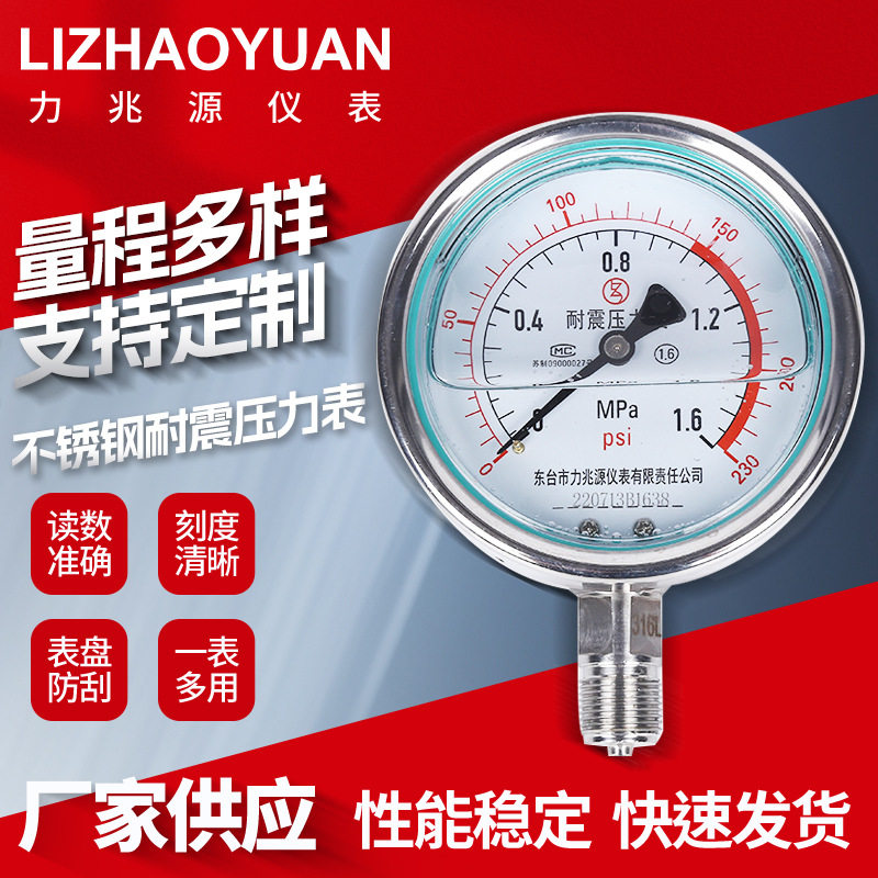 YN100B不锈钢耐震压力表 石油化工电站真空负压表气压表