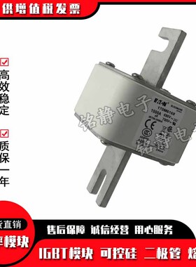 170M6618全新170M6619 170M6620 170M6621巴斯曼熔断器现货