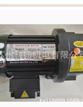ZHI BAO电机 YS0.2KW-4P ZF22 130:1 减速马达 ZL22 1:90 40:1