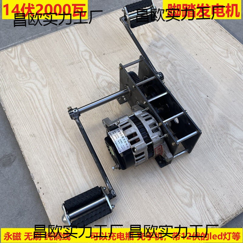 脚踏发电机12V24V2000W220v800瓦手摇交流永磁无刷直流电充电其他