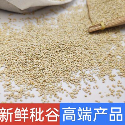 秕谷谷壳小米壳糠壳谷秕子瘪谷子颈椎成人儿童干净枕头芯填充物