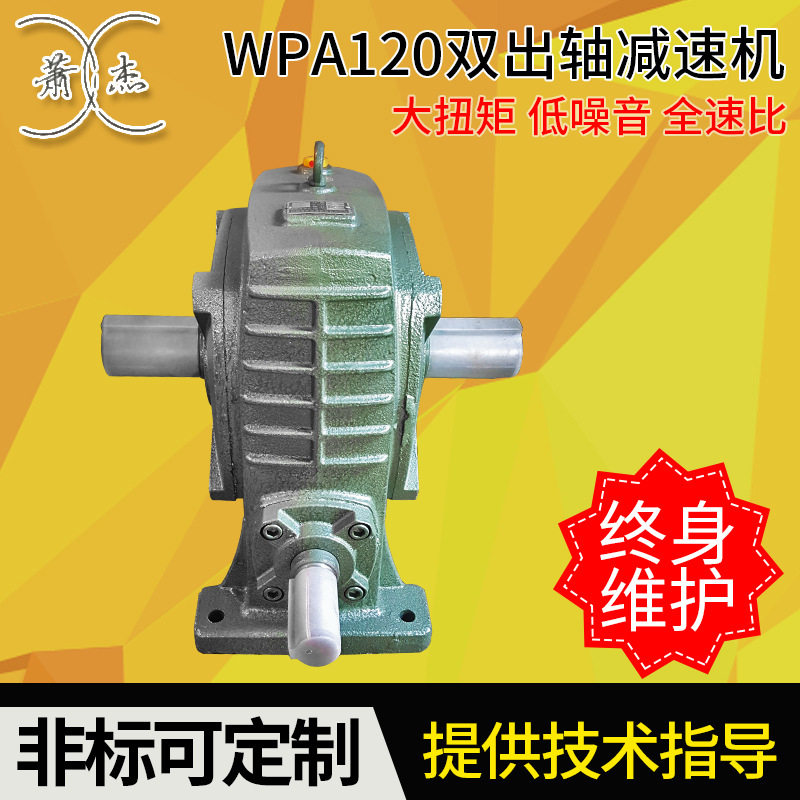WPA120#双出轴减速机 大型减速器 涡轮减速器