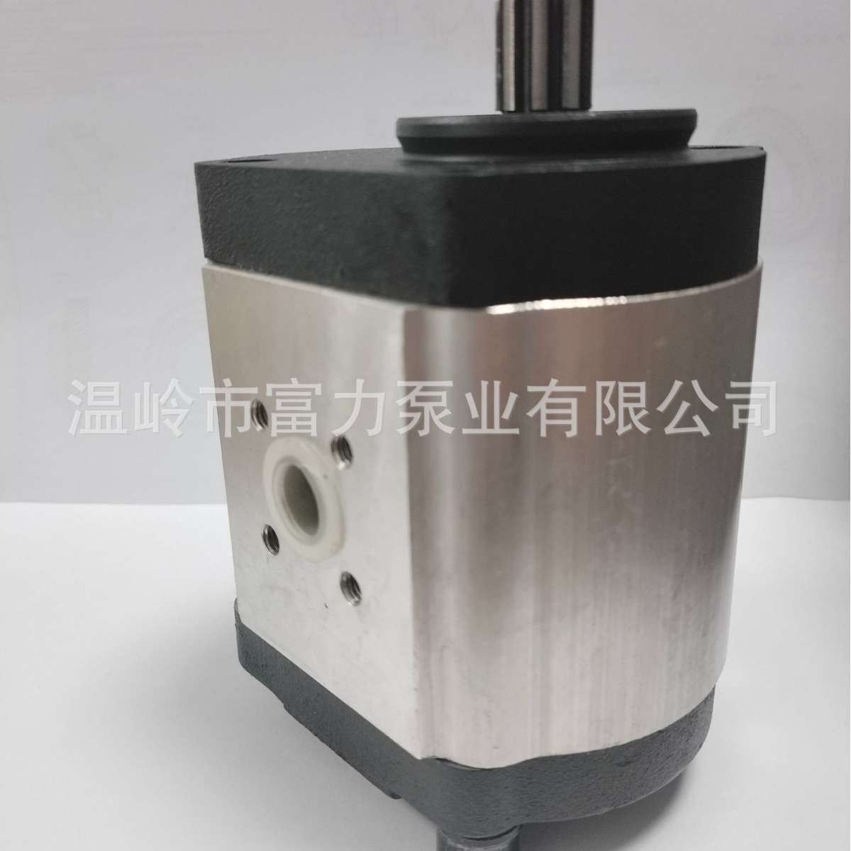 弗格森 Gear  pump Ferguson MF 7228132  72277154  2452995