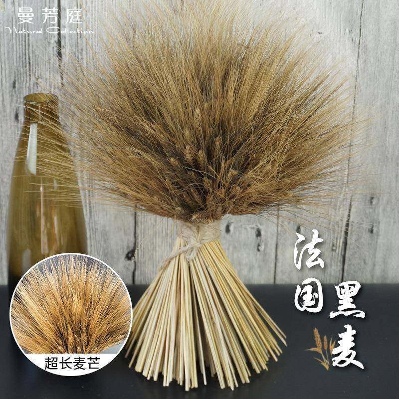 爆款法国黑麦干花花束客厅橱窗装饰摆件麦穗花束拍摄道具麦子干花,家居饰品,餐桌花艺,淘宝优惠券,粉丝福利购,淘宝优惠卷