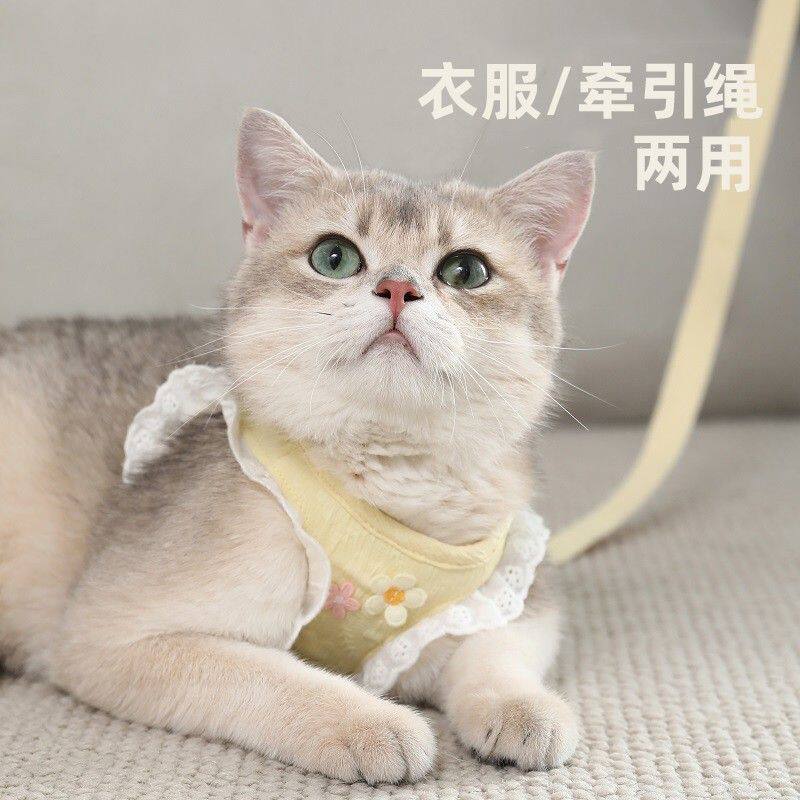 猫咪牵引绳防挣脱外出专用猫猫溜猫不勒脖小猫幼猫胸背带遛猫绳子