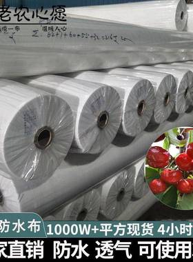 爆款农业防水布透气超轻果树防雨水白色PP45克厂家无纺透气轻薄