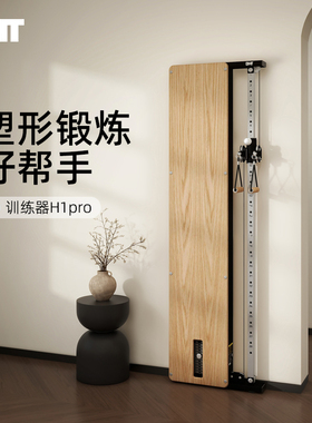 DHT综合力量训练器家用小飞鸟龙门架家庭健身器材女子塑形器械 h1