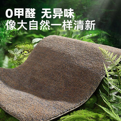 入户门地垫户外耐脏防滑吸水w脚垫大门口进K门家用地毯玄关简约门