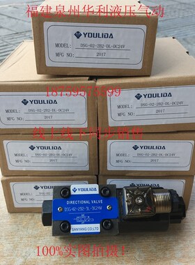 DSG-02-2B2-DL-DC24Vv AC220V 台湾YOULIDA液压电磁阀 电磁换向阀