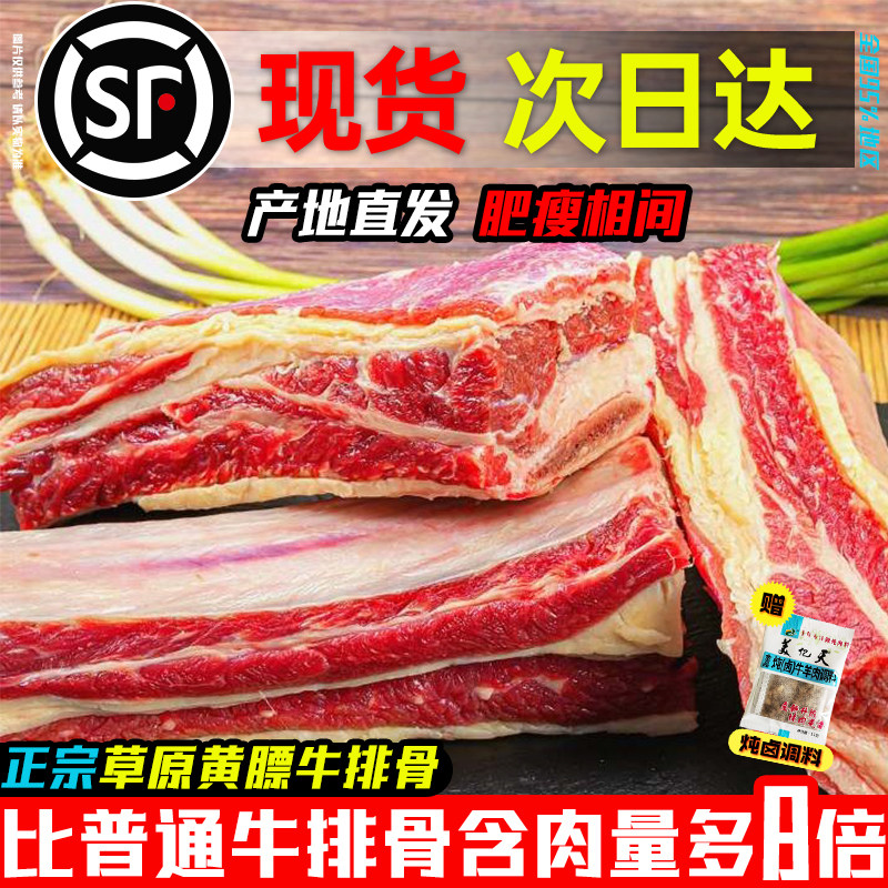 草原黄膘牛排骨新鲜带肉牛肋排牛肋条仔骨草饲散养黄牛肉商用