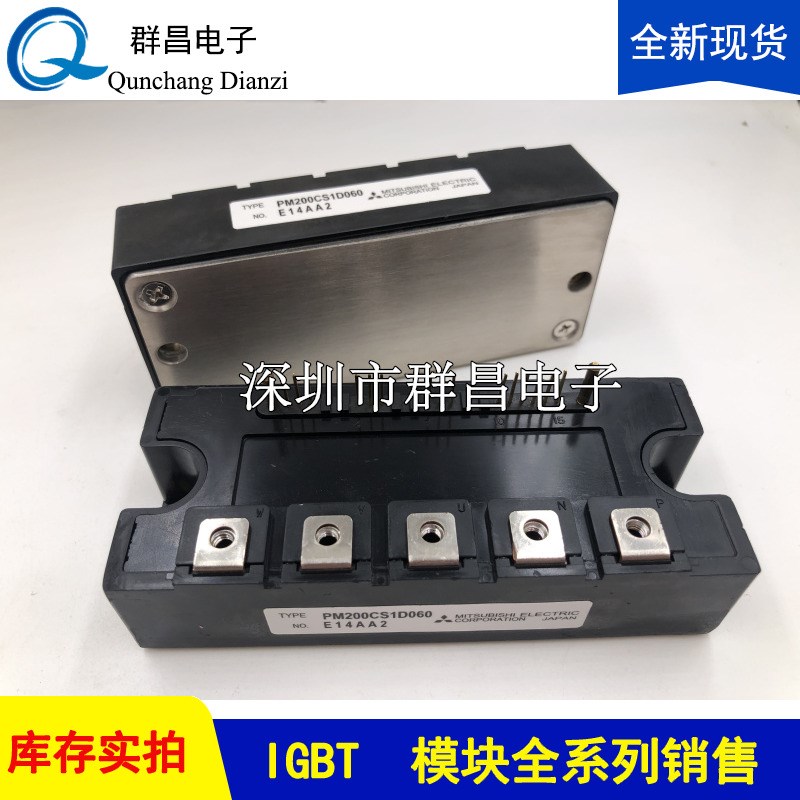 PM200CS1D060j  PM150CS1D060   PM100CS1D060  PM75CS1D060