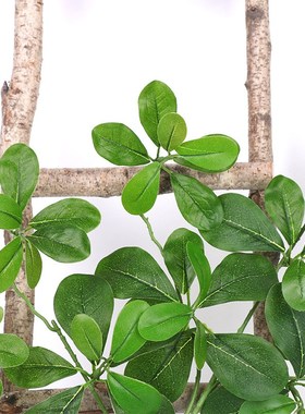 彷真树叶榕e树叶树枝假叶子绿色植物塑料假树室内装饰福禄桐
