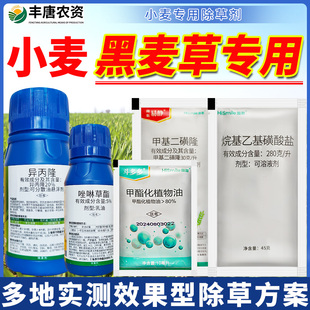 小麦田苗后专用除草剂多花黑麦草专杀唑啉草酯异丙隆尖叶杂草农药