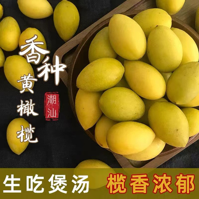 潮汕特产新鲜香种黄橄榄檀香酸涩甘香味道浓郁泡酒腌制老树黄橄榄