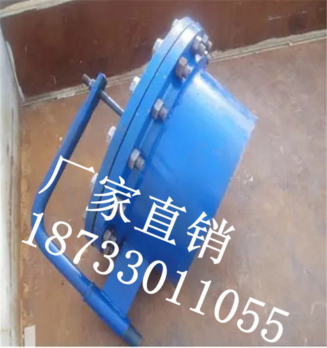 供应HG/T 21519-2005 垂直吊盖板式平焊法兰人孔 规格型号齐全