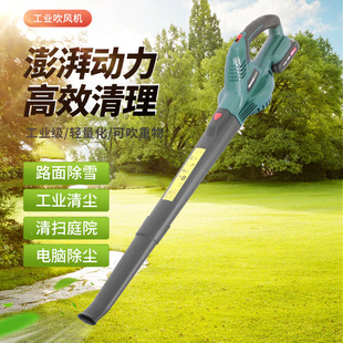 大岛吹风机8189 路面除雪工业清尘锂电吹风机 家用电脑除尘机