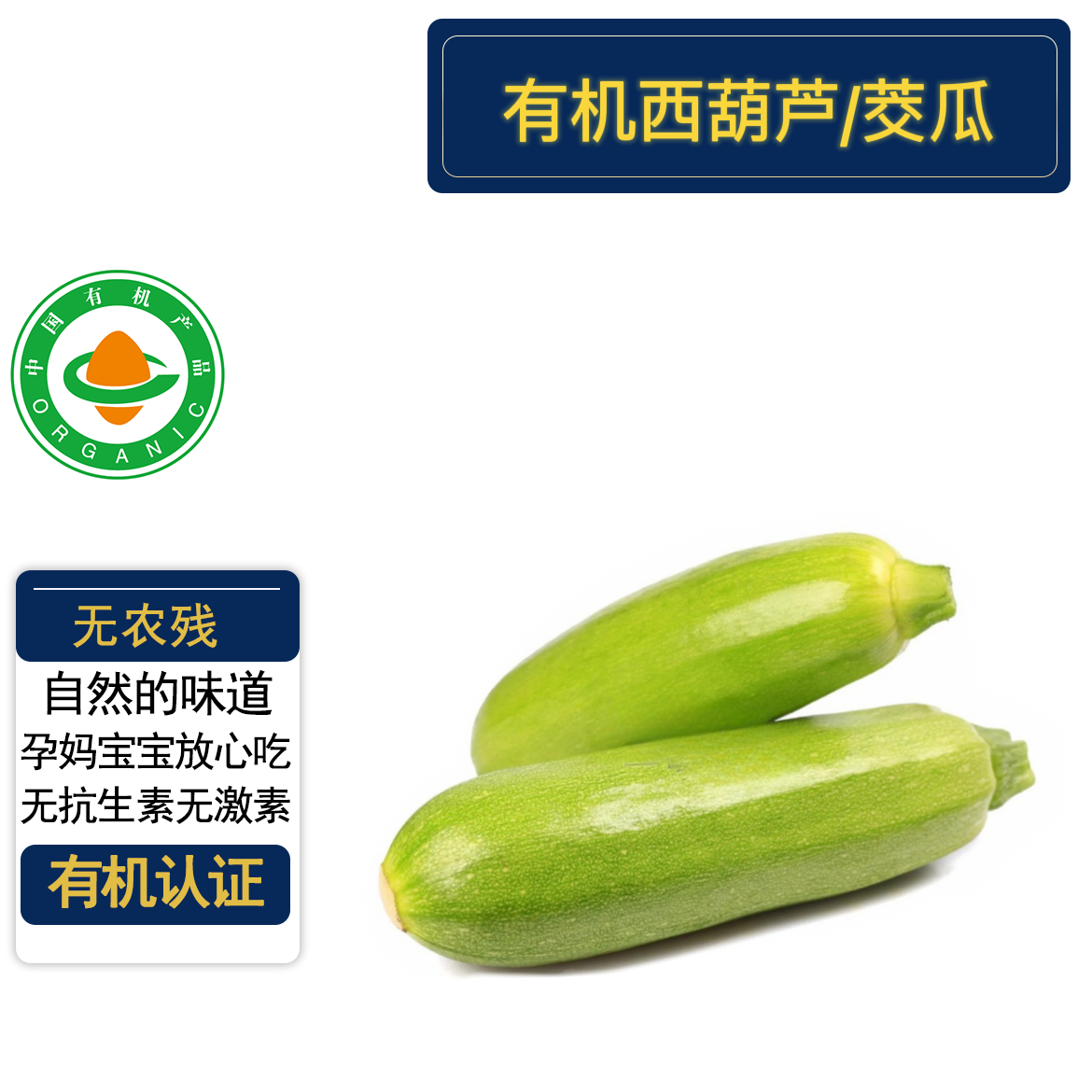 有机西葫芦/角瓜有机认证无农残