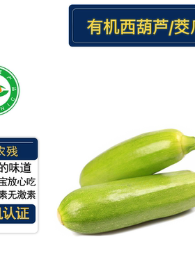有机西葫芦/角瓜有机认证无农残