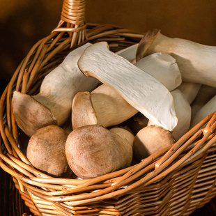 有机杏鲍菇5盒两斤装有机认证新鲜蘑菇营养美味食用菌菇