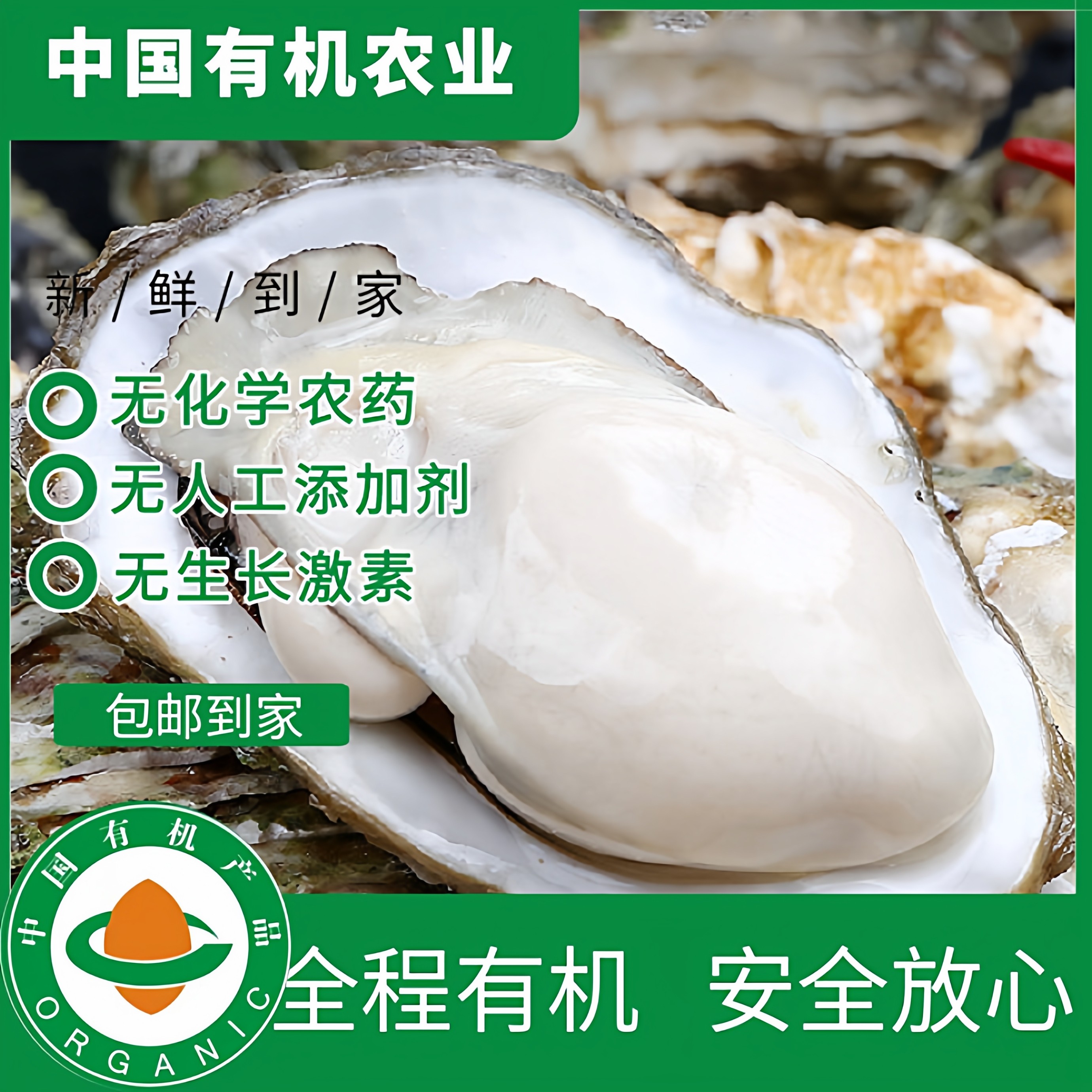 有机生蚝 灯塔水母鲜活直发 顺丰到家 聚会烧烤海鲜水产