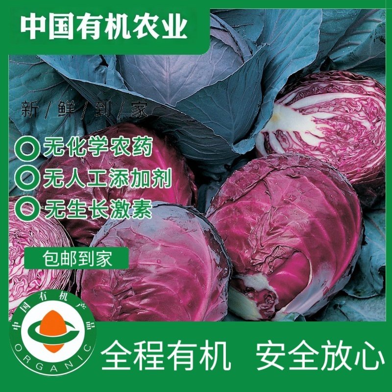 有机紫甘蓝轻食沙拉卷心包菜凉拌生吃榨汁新鲜配送辅食低卡,水产肉类/新鲜蔬果/熟食,叶菜类,淘宝优惠券,粉丝福利购,淘宝优惠卷