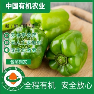 有机青圆椒彩椒甜椒5斤 有机认证不打药无农残 现摘现发顺丰包邮