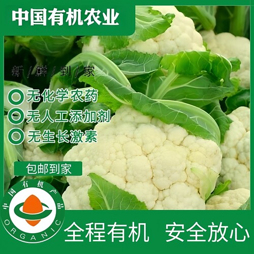 有机花菜现货有机认证有机码齐全，进货单，新鲜蔬菜健康烹炒辅食