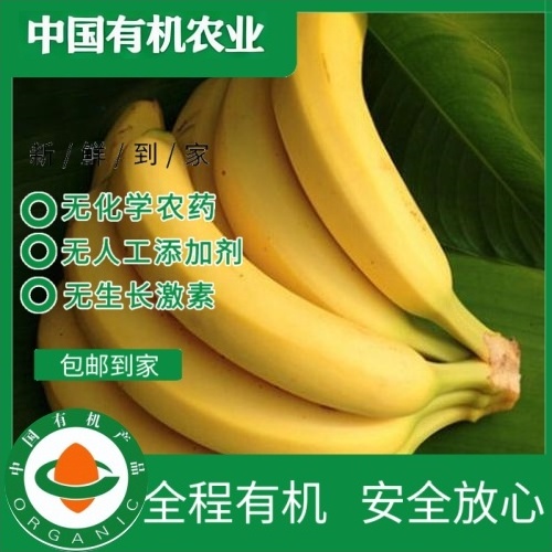 海南有机丑香蕉芭蕉4.8斤