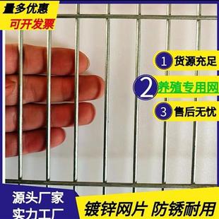 镀锌铁丝网鸽棚地围网加粗地网养殖防锈公棚鸡鸭兔狗笼加密围栏