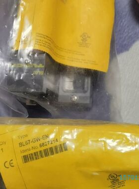 图尔克模块BL67-GW-EN BL67-GW-DPV1议价