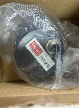 【顺庆】朗博温度传感器仪表头，PH2230。全新原装未开封。欢迎有