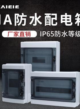 HA配电箱 户内外塑料防水照明回路箱 明装侧开门式C45空开盒 IP65