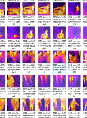 D00359-红外图像行人车辆动物目标检测3192张yolo格式labels txt