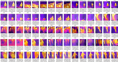 D00359-红外图像行人车辆动物目标检测3192张yolo格式labels txt