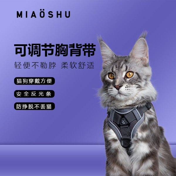 猫咪狗牵引绳专用产品背带式遛猫遛狗牵引外出宠物伸缩牵引绳